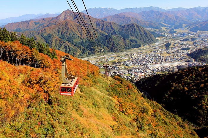 湯沢高原パノラマパークの秋の楽しみ方⑥