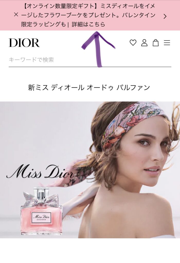 diorgift8