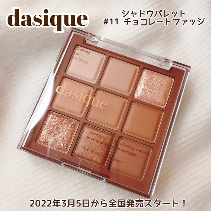 デイジークのチョコレートファッジ６