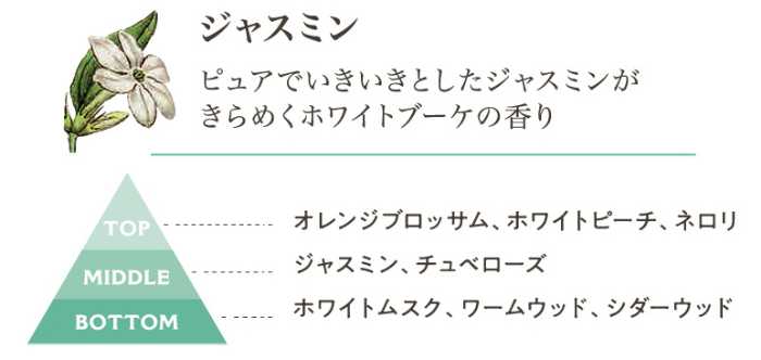 パニエデサンスの新作フレグランス④