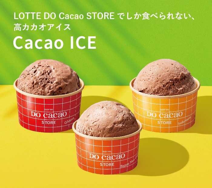 LOTTE DO Cacao STOREのアイス②