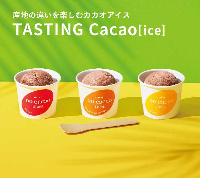 LOTTE DO Cacao STOREのアイス③
