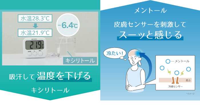 healogyのインナー③