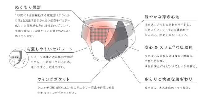 ベアのエアライトショーツ③