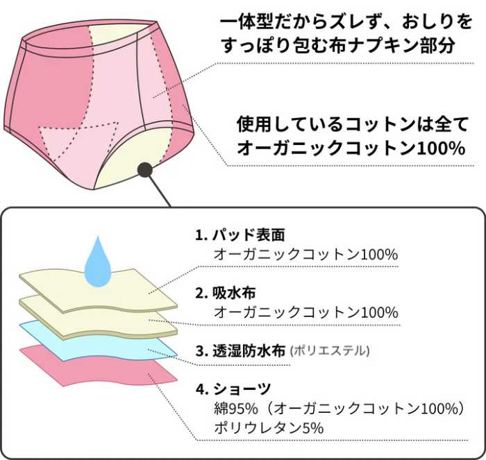 夜用オーガニックコットンの吸水ショーツ③