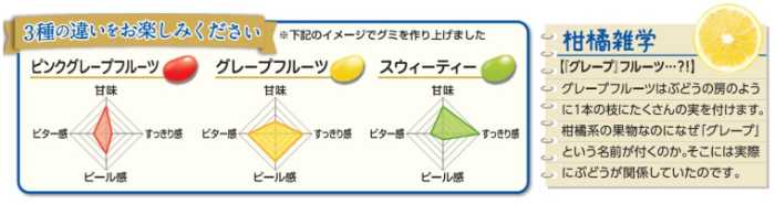 つぶグミPREMIUMの濃厚柑橘②