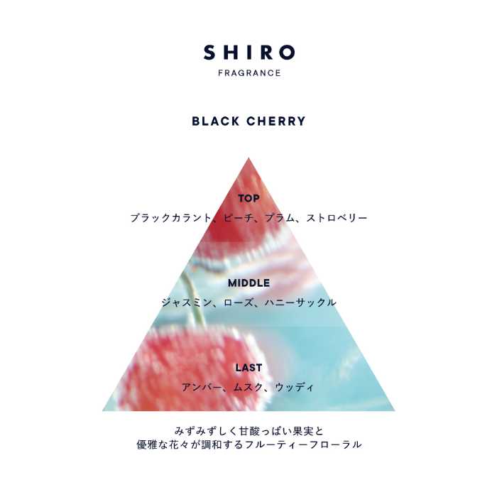 SHIROのブラックチェリー②