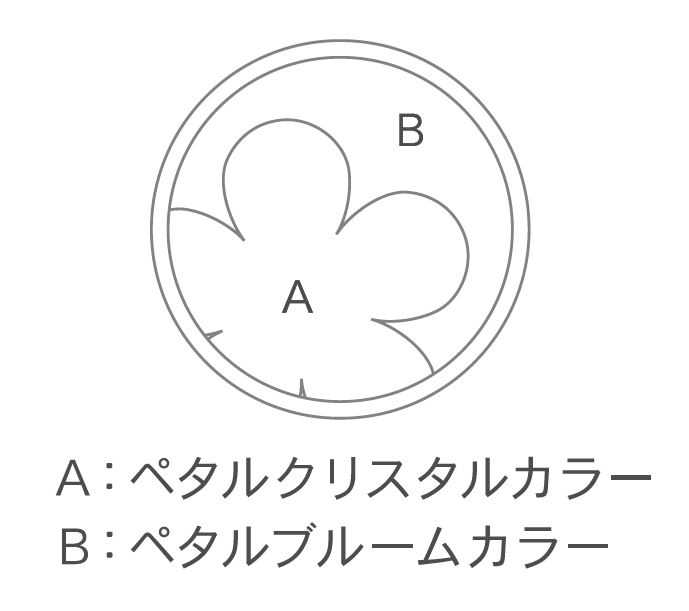 ジルスチュアートビューティーのアイカラー②