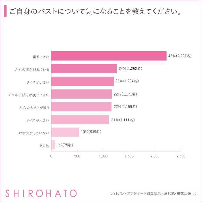 SHIROHATOのブラジャー②