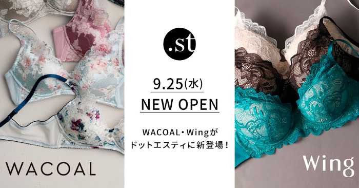 ドットエスティのWACOALとWing①