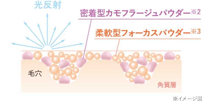 セフィーヌの新作コンシーラー④