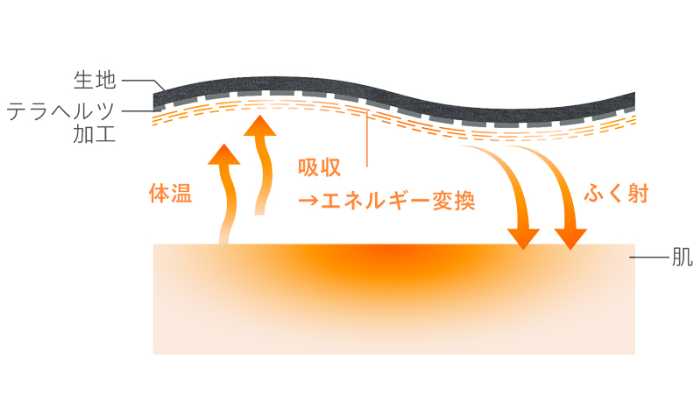 ベアの温活テックショーツ⑥