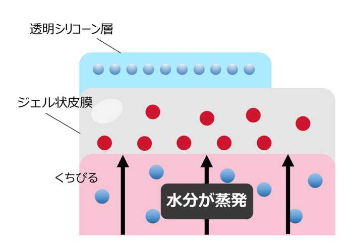 グロリアートのザ･ルージュ③