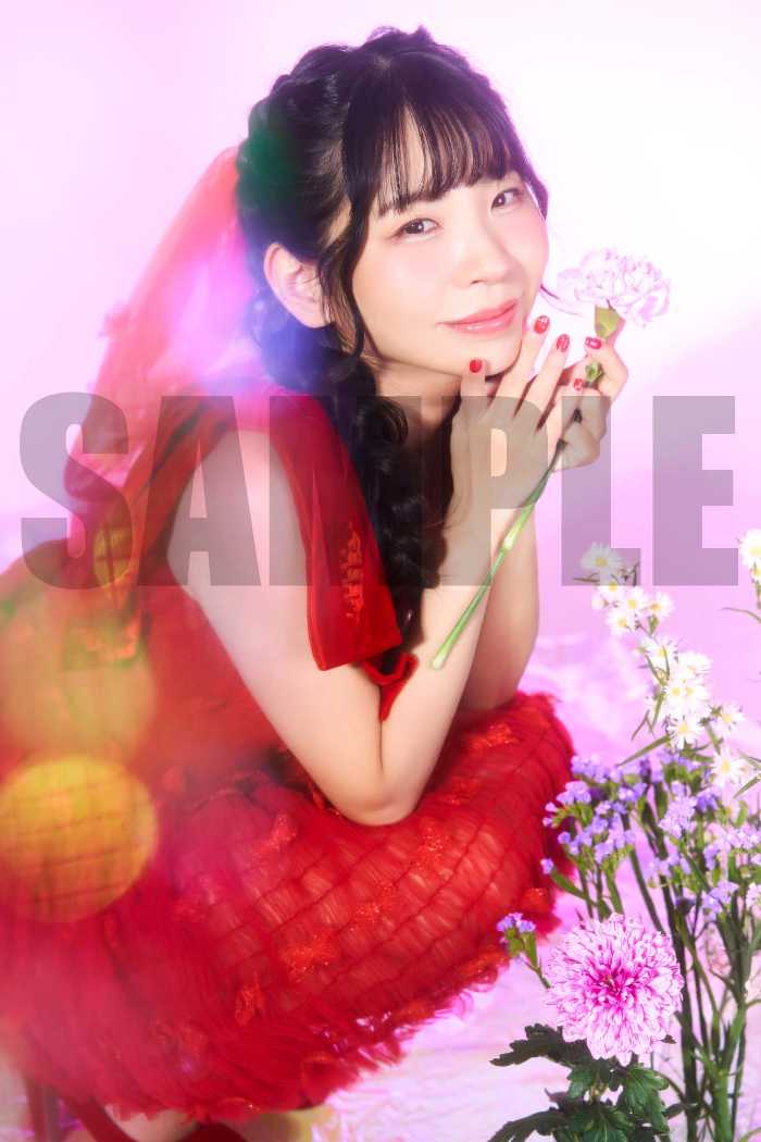 古川未鈴の書籍⑥