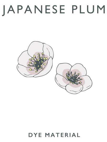 ANGLEのFOOD TEXTILEコラボ⑥