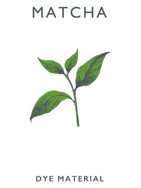 ANGLEのFOOD TEXTILEコラボ⑦