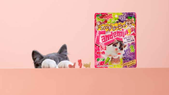 カンロのカンデミーニャグミ①