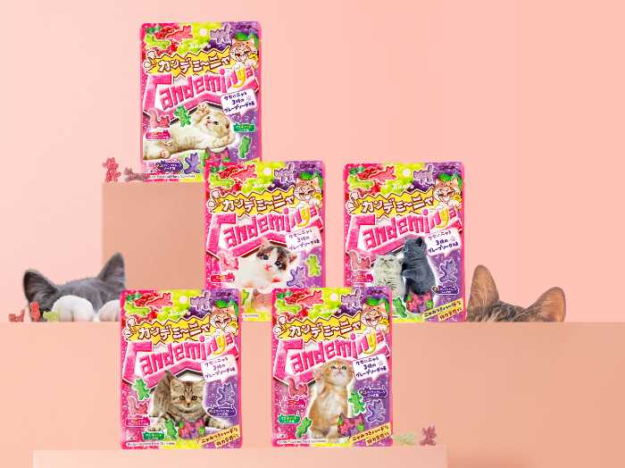 カンロのカンデミーニャグミ③