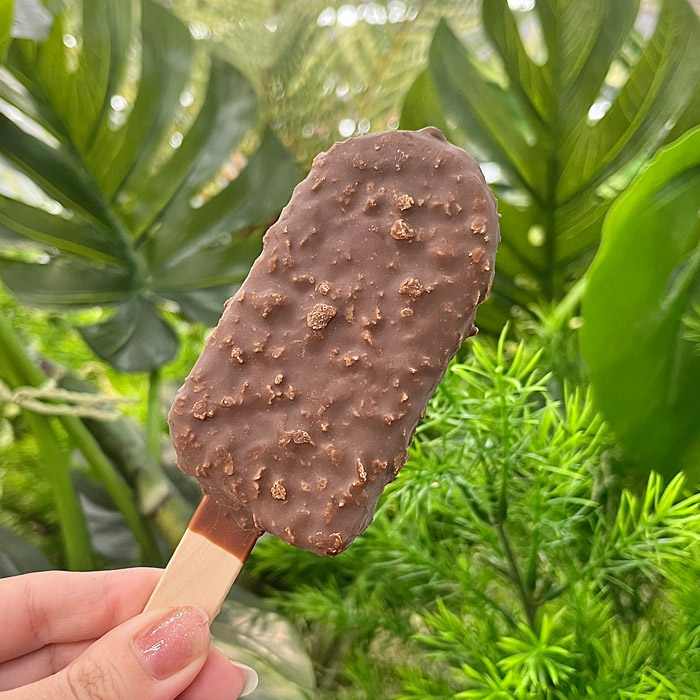 ハーゲンダッツの芳醇ティラミスクランチ③