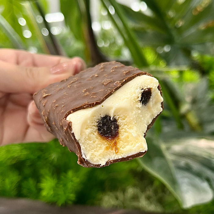 ハーゲンダッツの芳醇ティラミスクランチ⑤