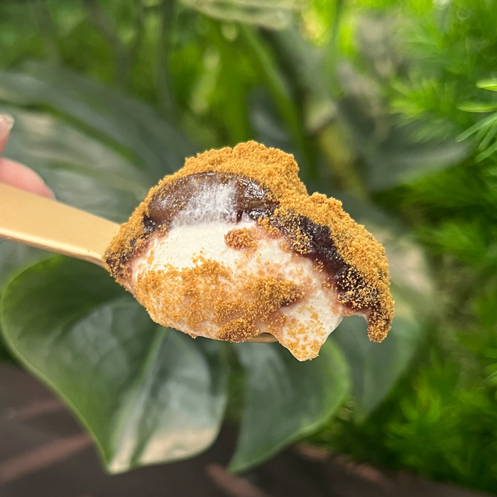 井村屋のやわもちアイス生八ッ橋味⑦