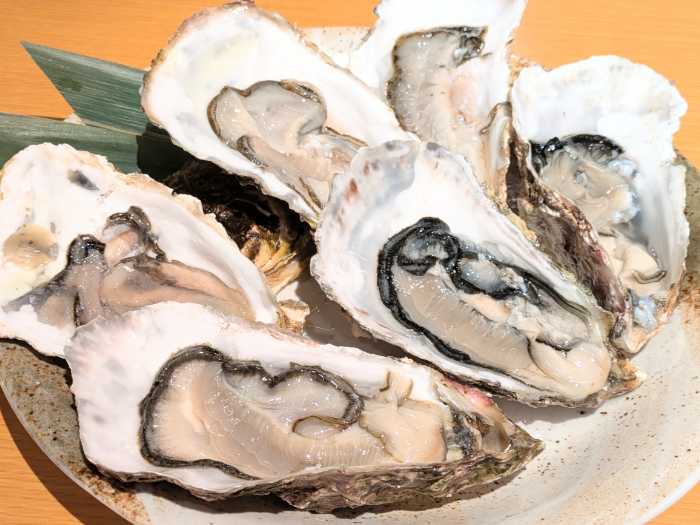 おかかの出汁しゃぶ２