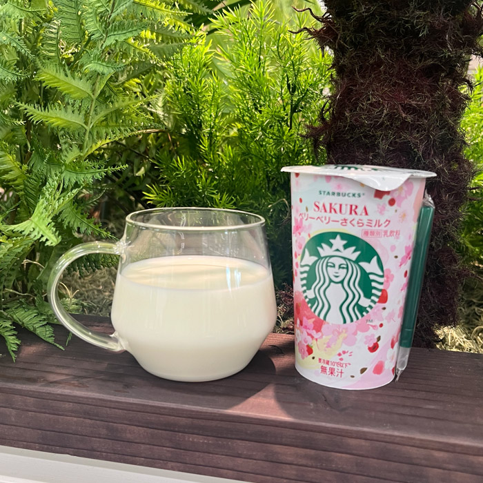 スターバックスの ベリーベリーさくらミルク③