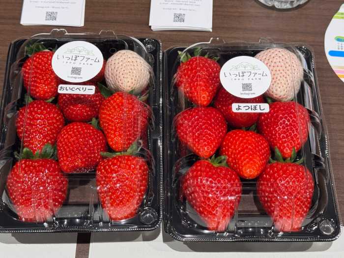 未来農業フェスタ2025のイベントの様子④