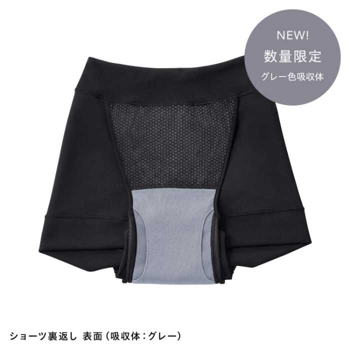 ベアのグレー色の吸収体⑩