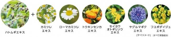 マジアボタニカ×クロミのコラボアイテム④