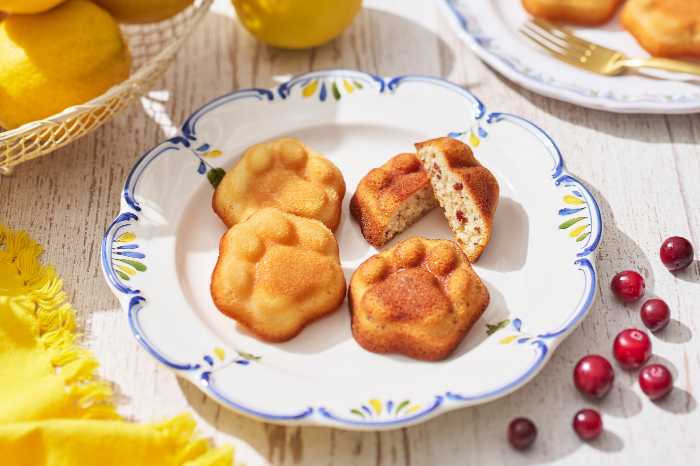 ネコシェフの期間限定フィナンシェ⑤