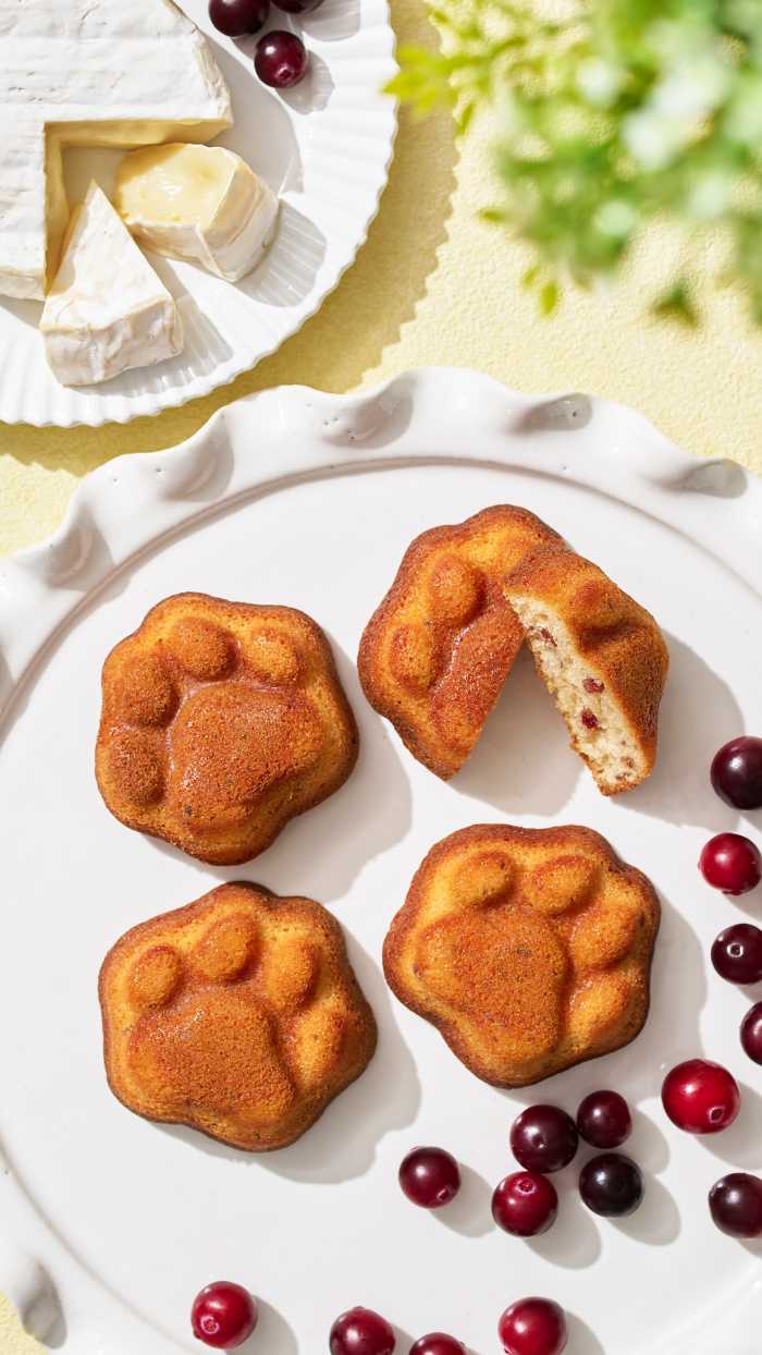 ネコシェフの期間限定フィナンシェ①