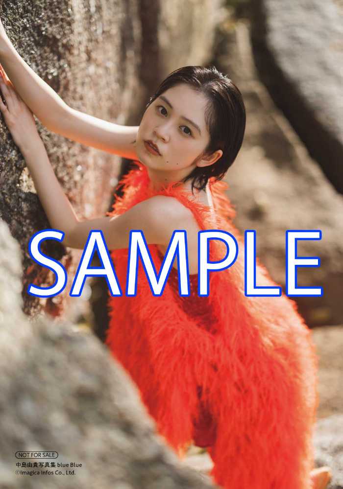 中島由貴さんの最新写真集⑭