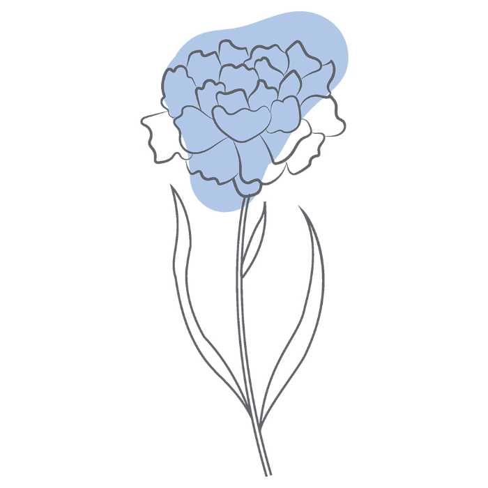 ママチャームの青いカーネーション