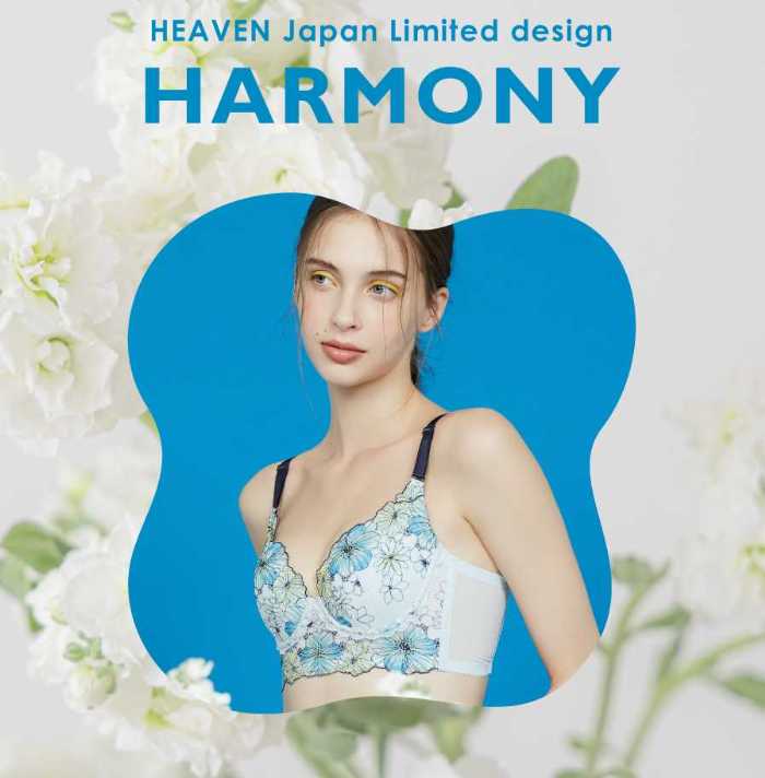 HEAVEN Japanの下着1