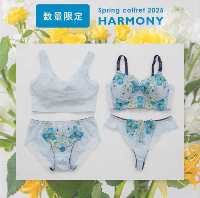 HEAVEN Japanの下着2