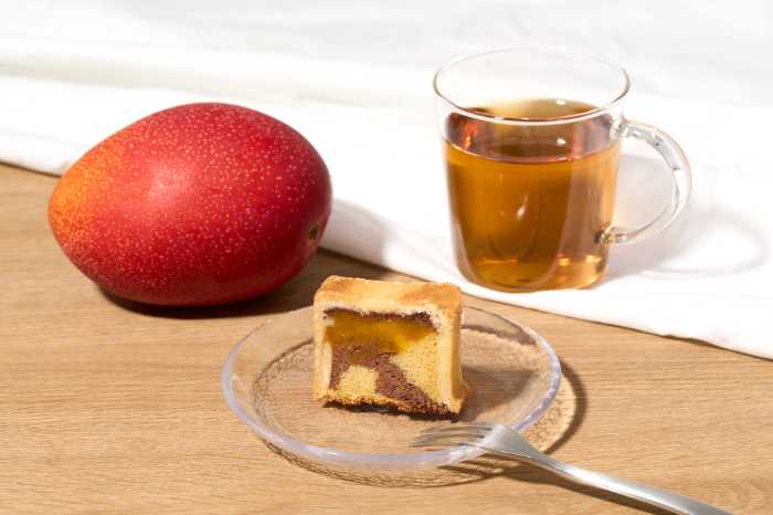 ミニマルのガトーショコラ ソフト 宮崎マンゴー③