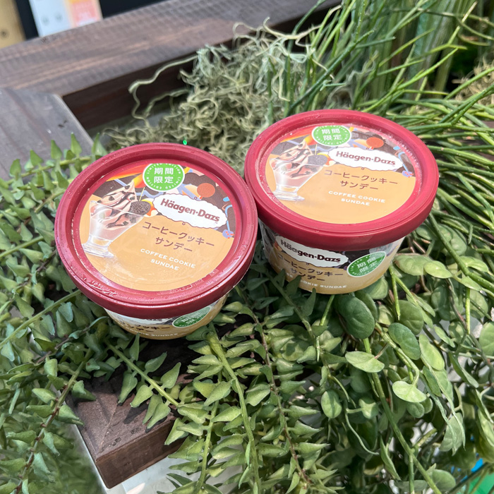 ハーゲンダッツのコーヒークッキーサンデー⑤