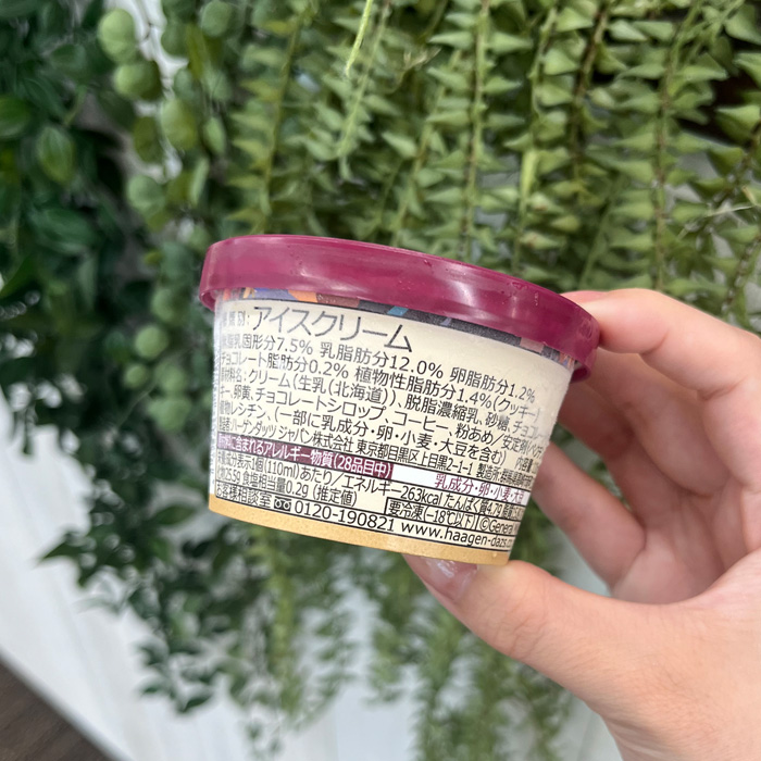 ハーゲンダッツのコーヒークッキーサンデー⑥