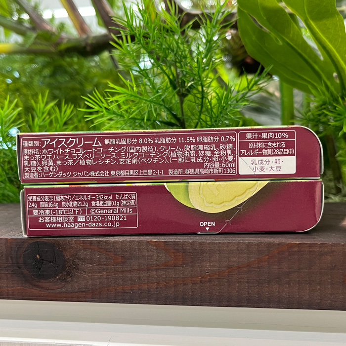 ハーゲンダッツの抹茶ベリー⑧