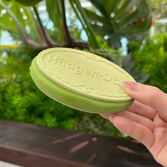 ハーゲンダッツの抹茶ベリー④