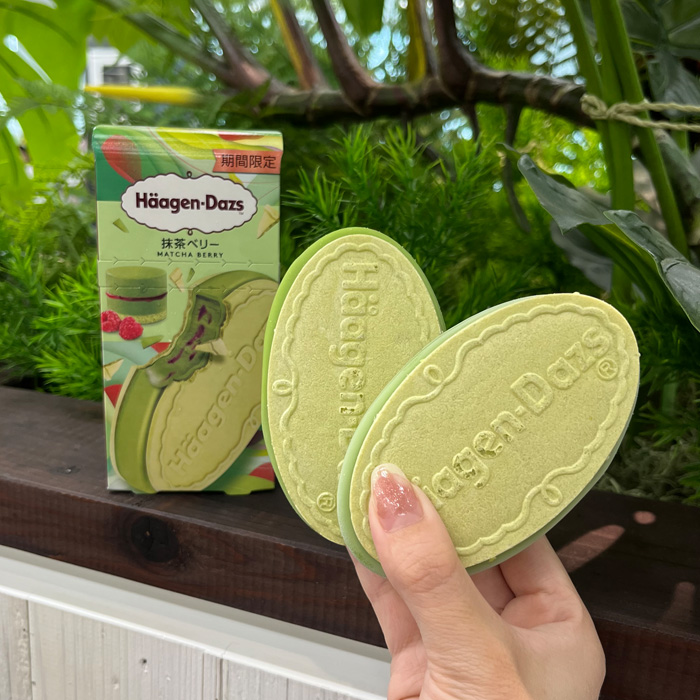 ハーゲンダッツの抹茶ベリー②