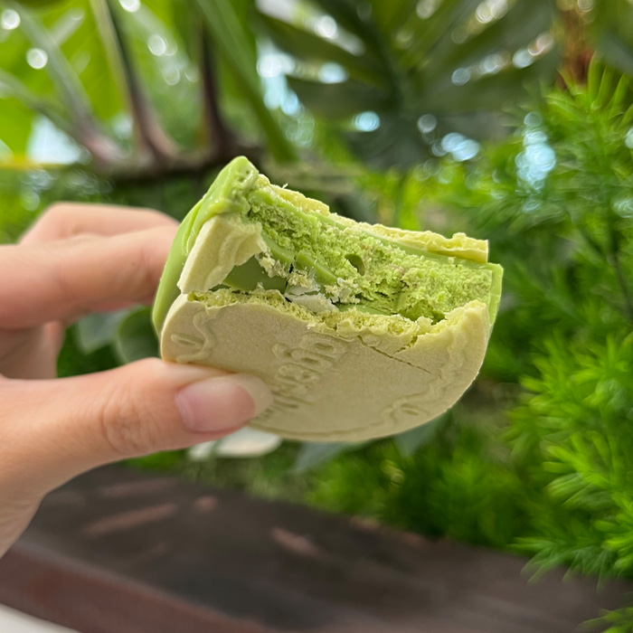 ハーゲンダッツの抹茶ベリー⑤