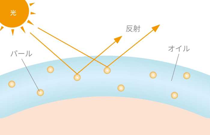 vim BEAUTYのプライマー説明図
