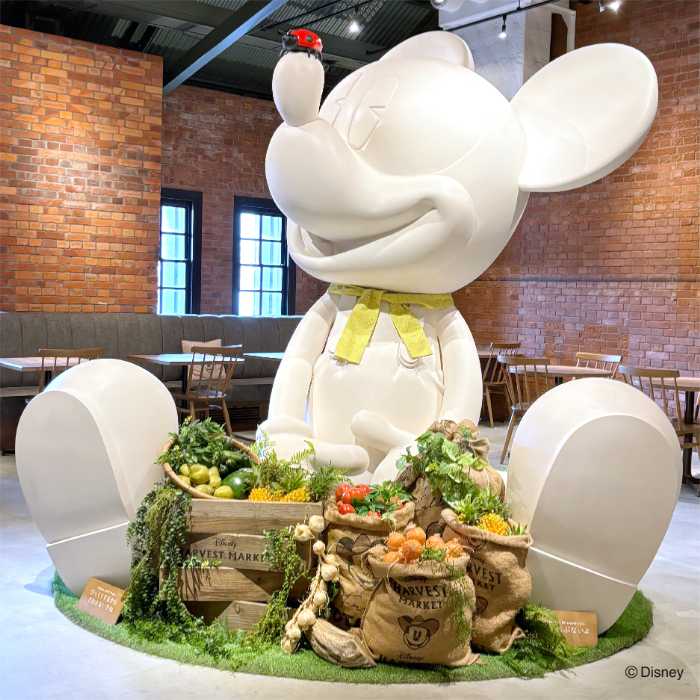 Disney HARVEST MARKETのディスプレイ