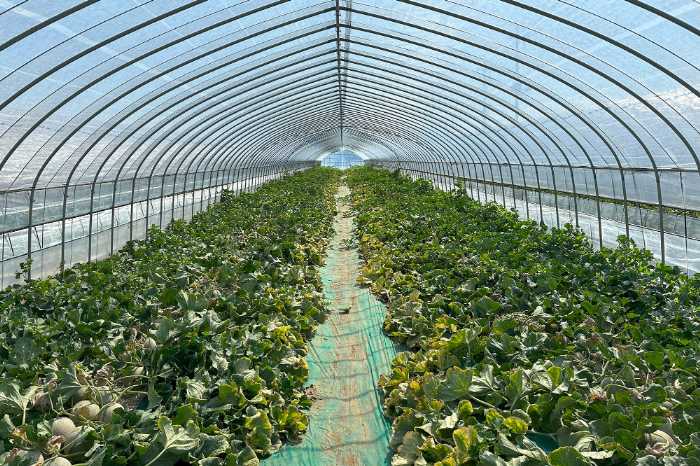 Minimalの完熟メロンとカカオのパフェ③