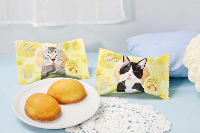 ねこねこの期間限定スイーツ⑧