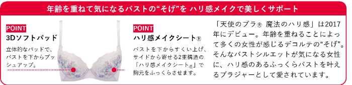 天使のブラⓇ 魔法のハリ感の新作⑤