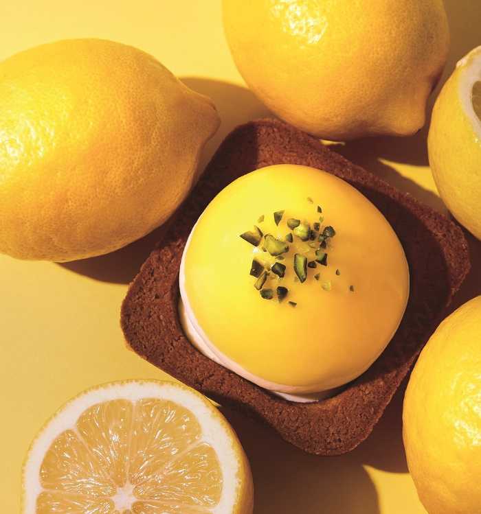 チーズワンダーのキャメルイエロー⑤