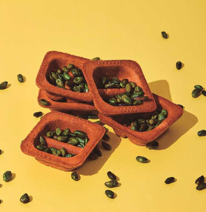 チーズワンダーのキャメルイエロー⑥